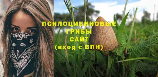 apvp Нязепетровск