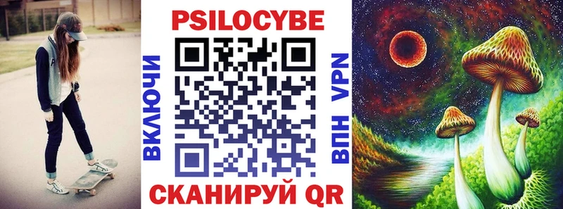 Галлюциногенные грибы Psilocybe купить закладку Красноярск